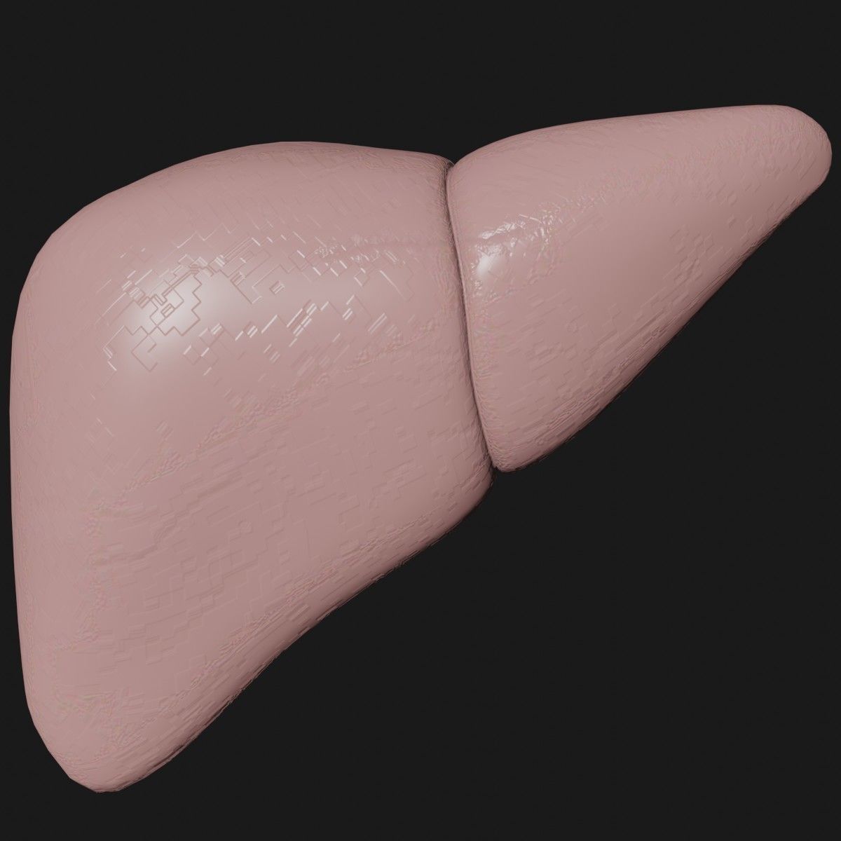 Liver and small and Large intestine  Low-poly 3D model_5