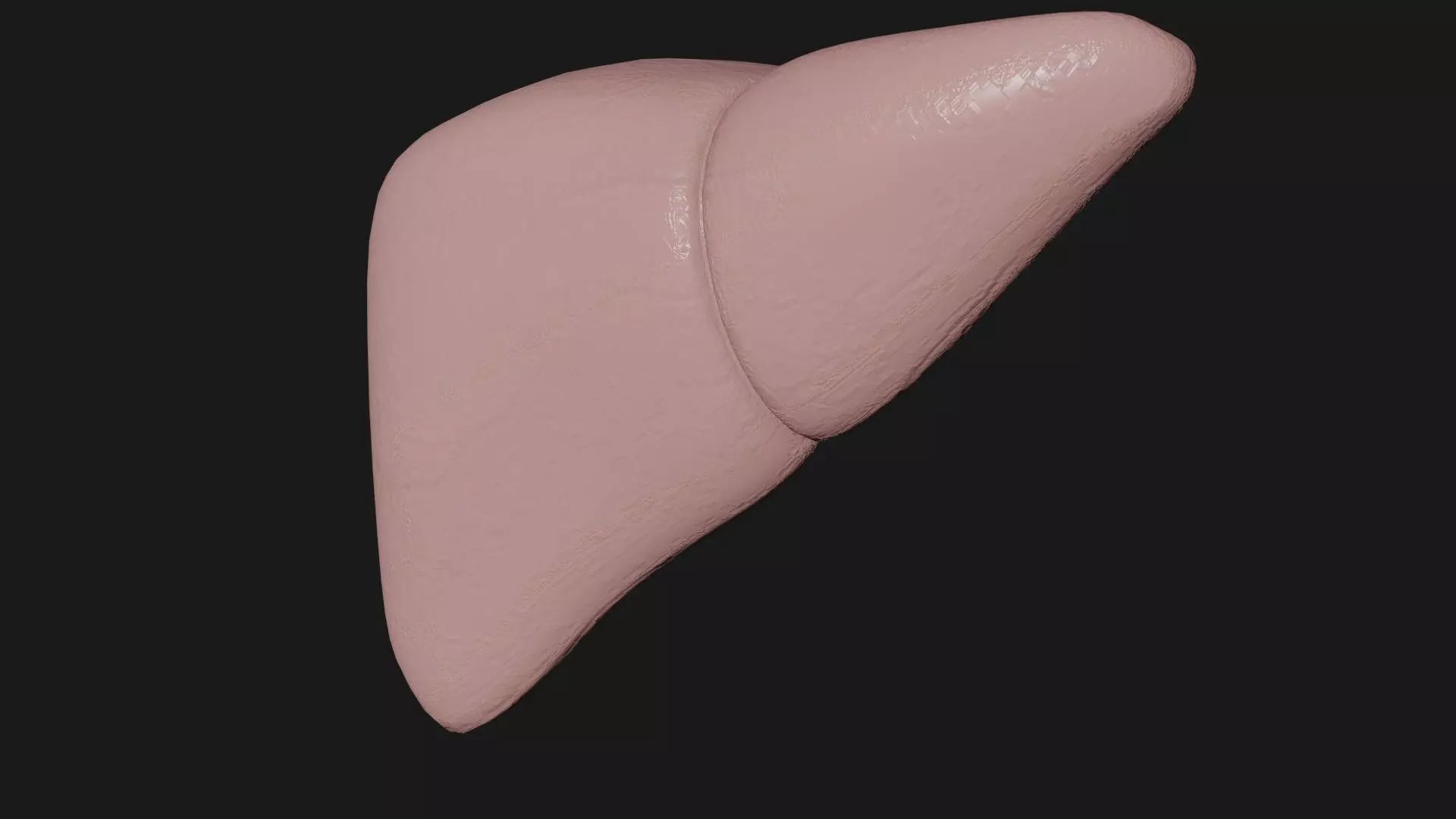 Liver and small and Large intestine  Low-poly 3D model_0