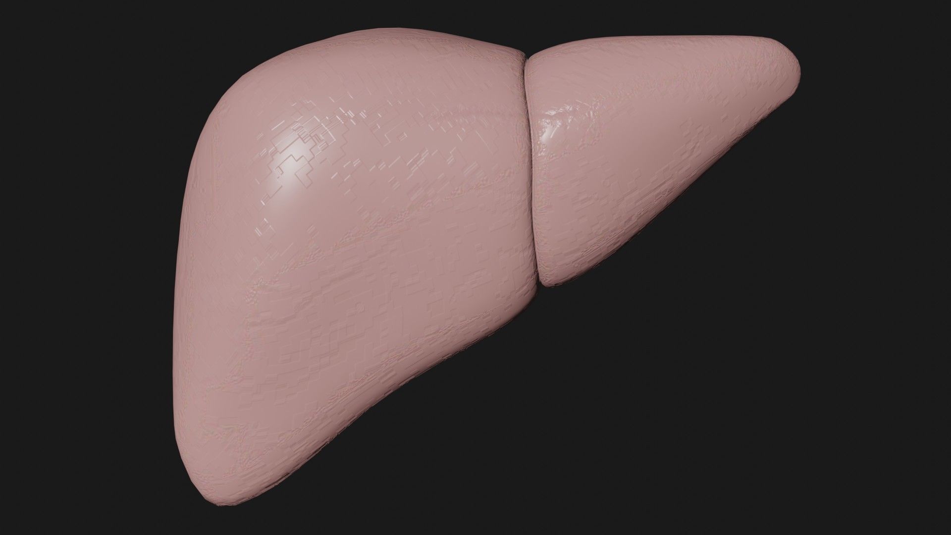 Liver and small and Large intestine  Low-poly 3D model_4