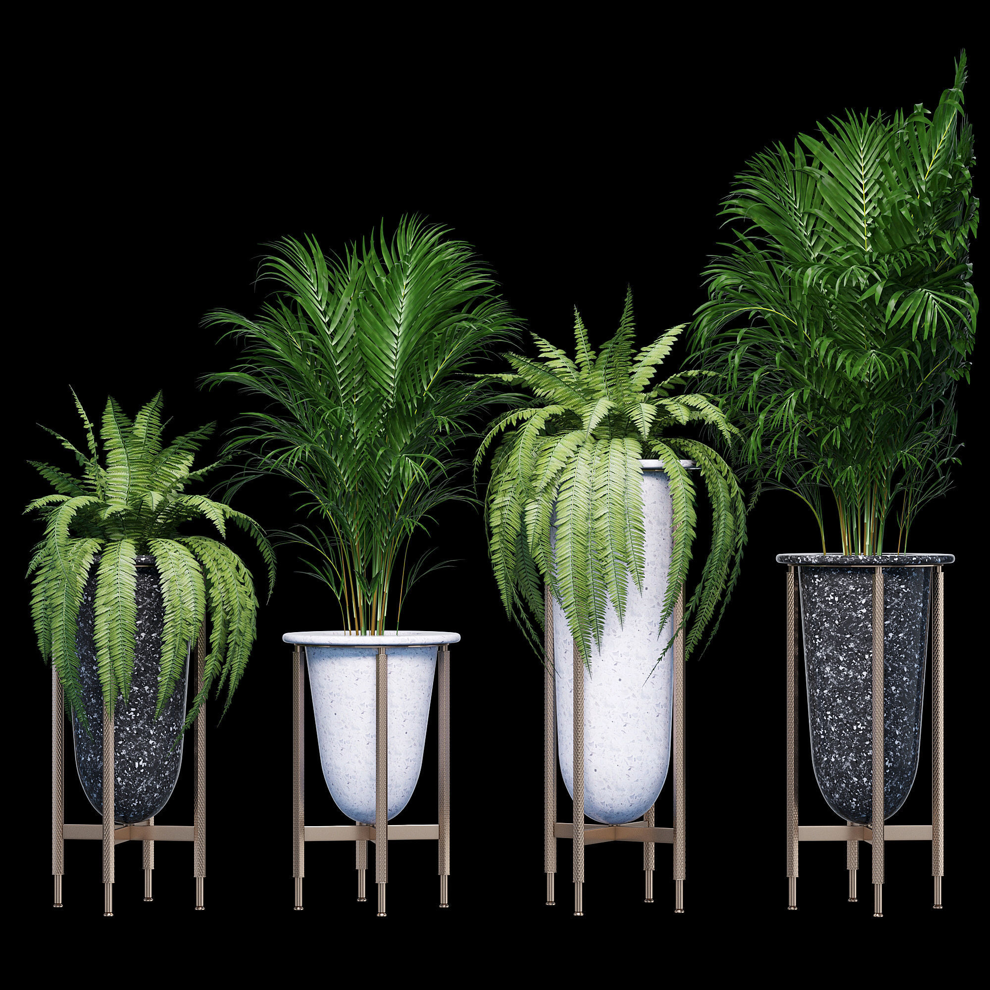 Palm and fern corner 3D model_5