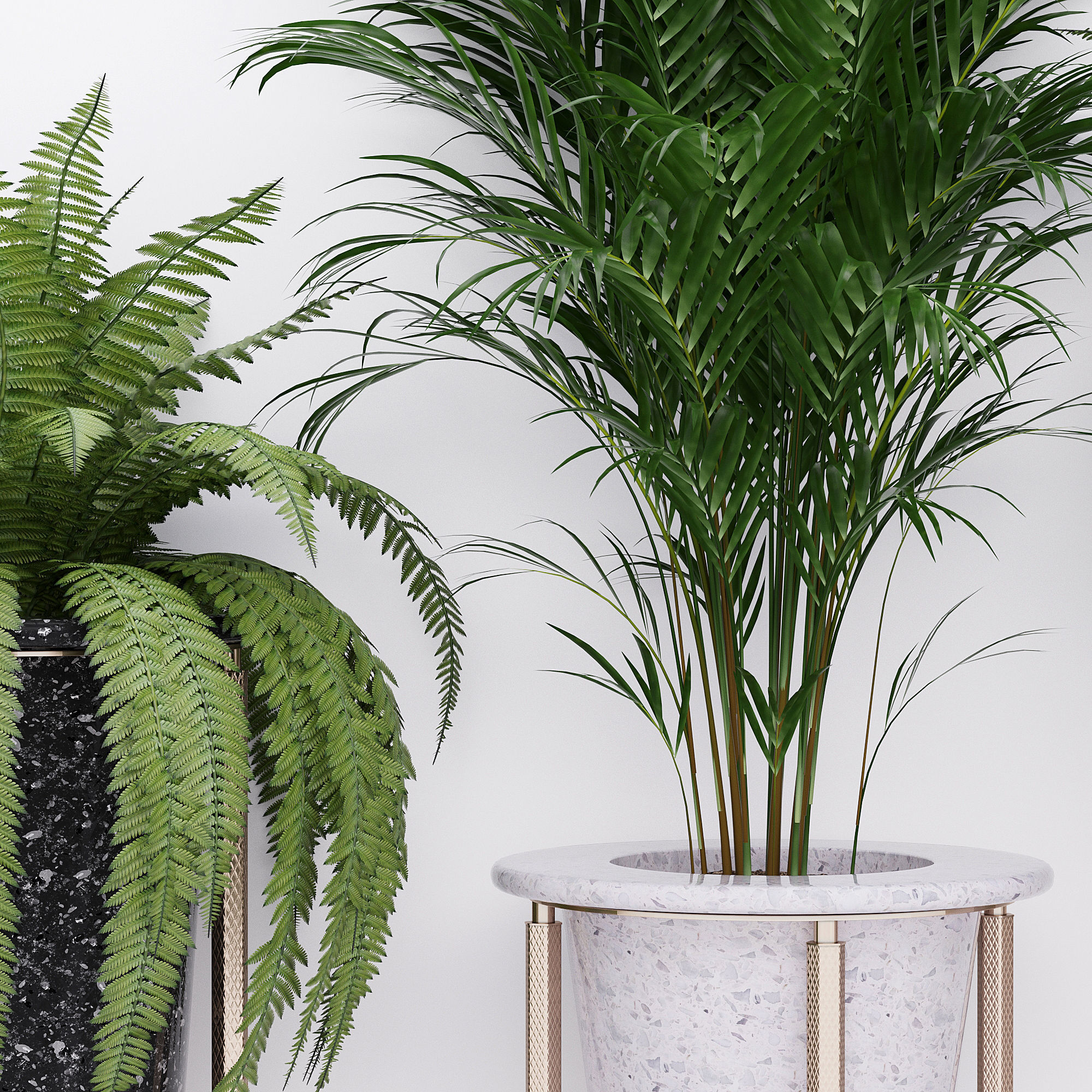 Palm and fern corner 3D model_4
