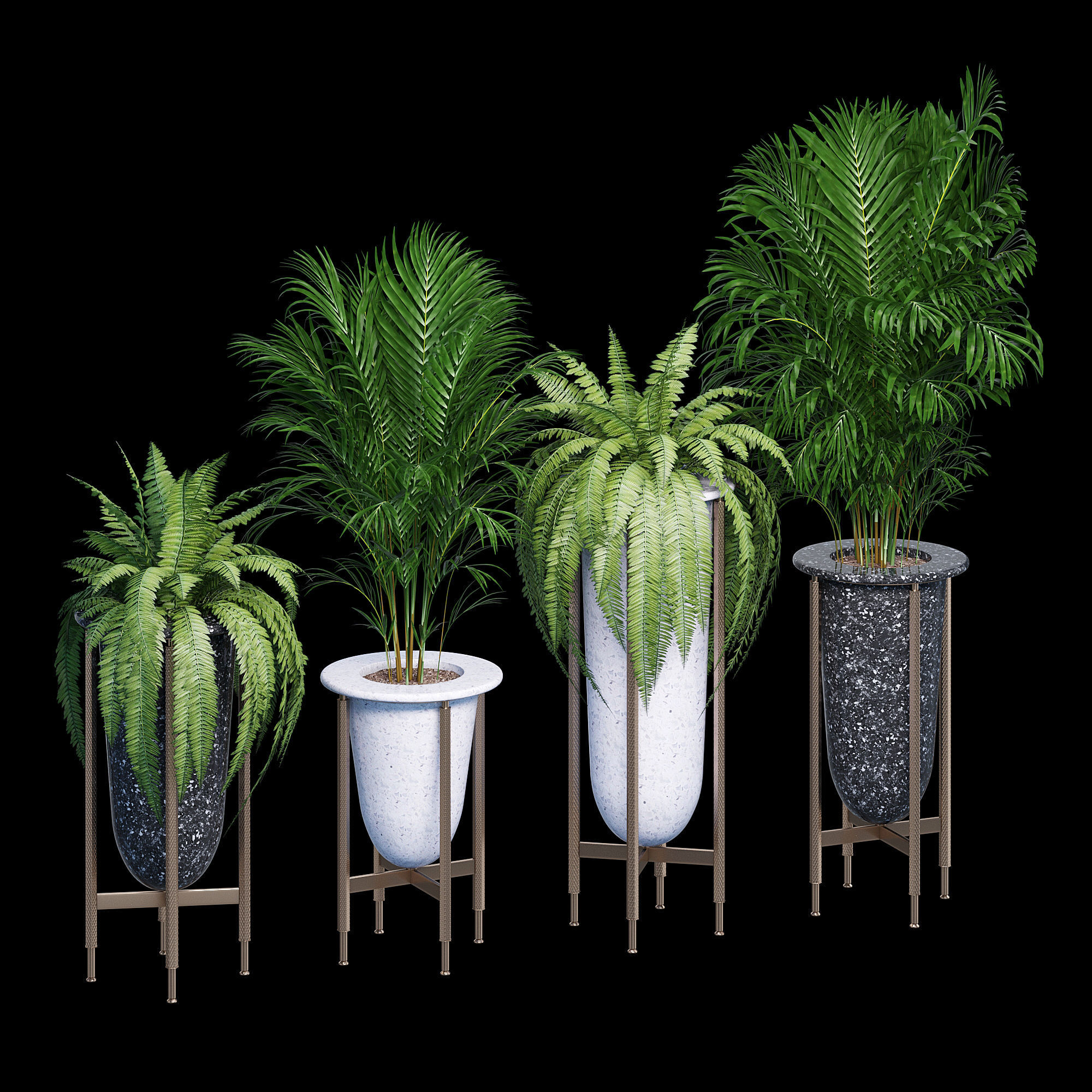 Palm and fern corner 3D model_7