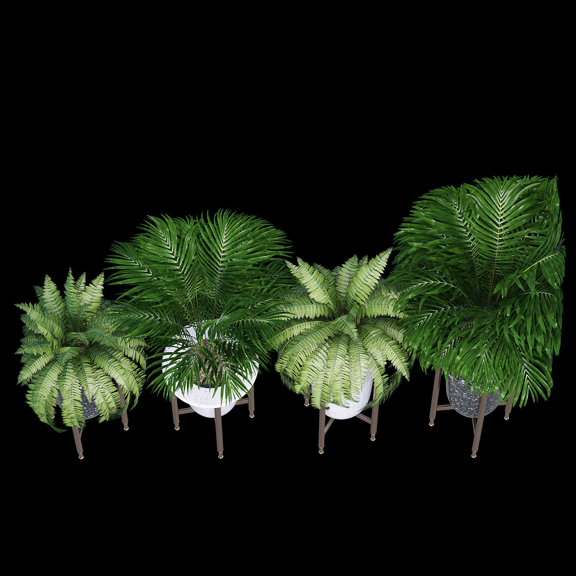 Palm and fern corner 3D model_6