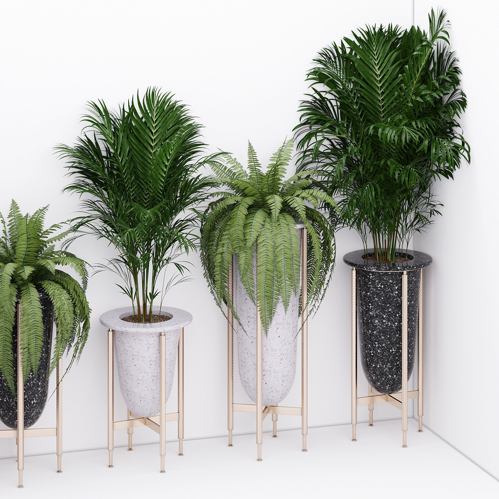 Palm and fern corner 3D model_1