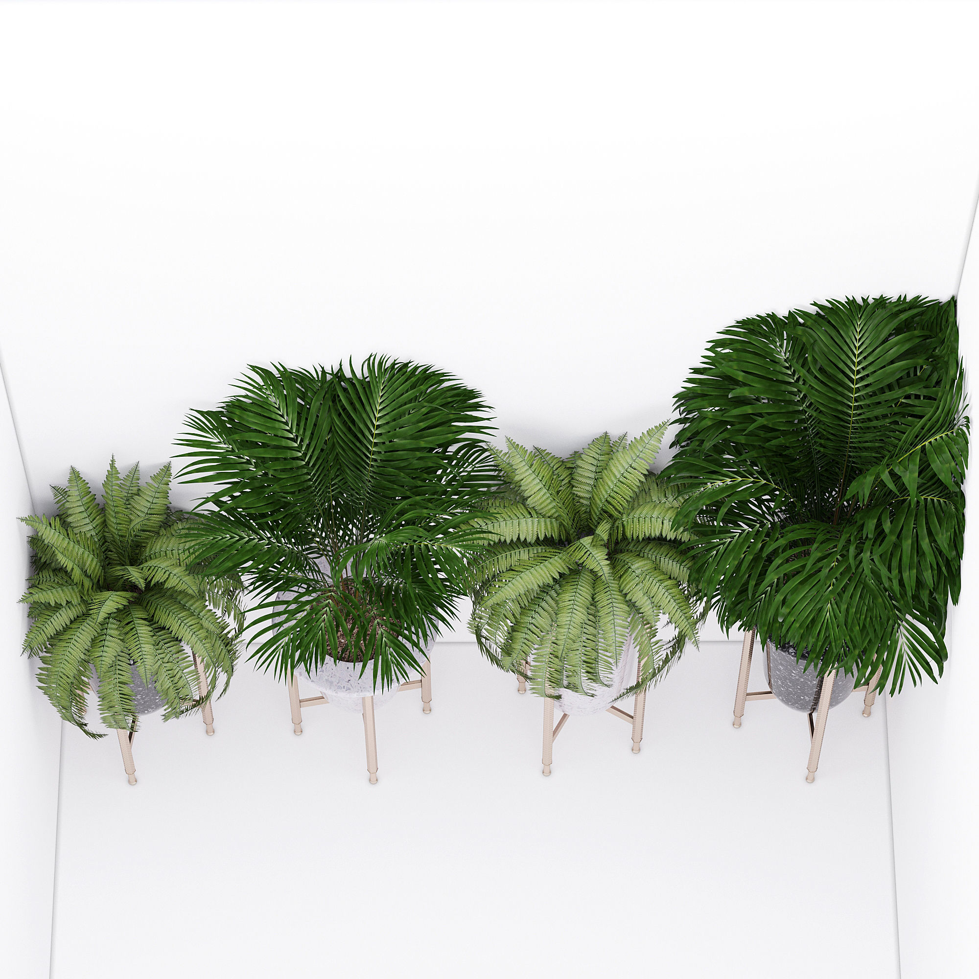 Palm and fern corner 3D model_2