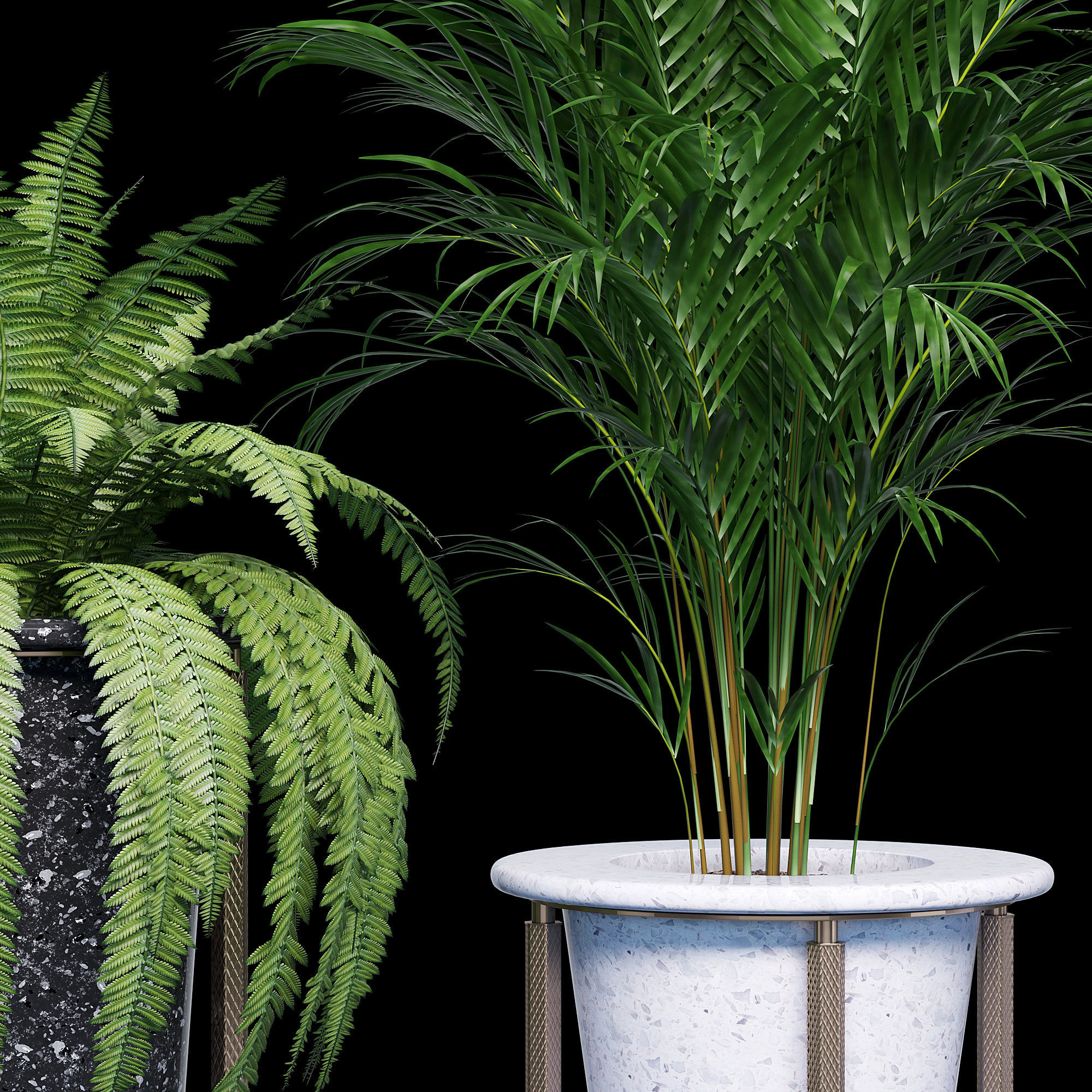 Palm and fern corner 3D model_8