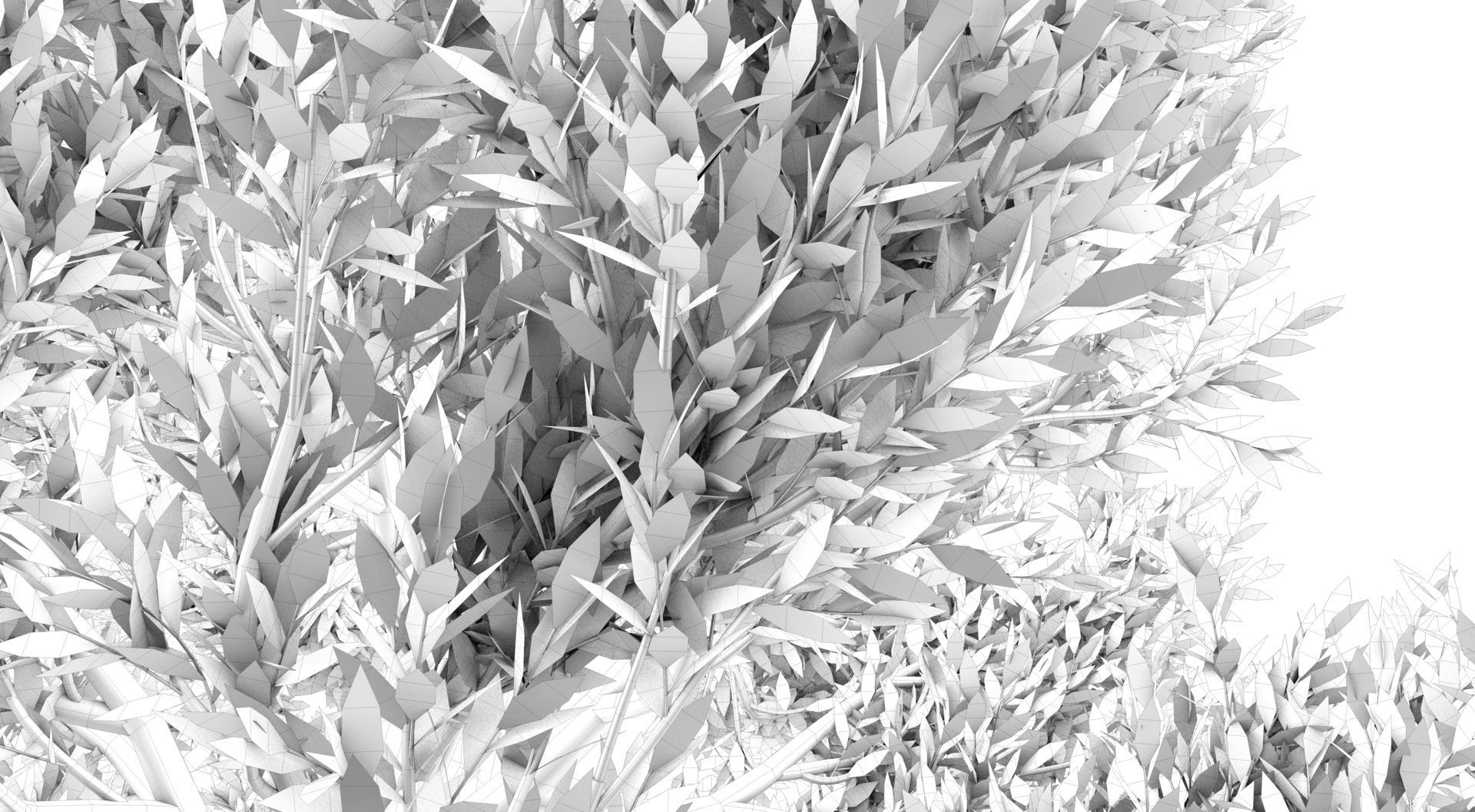 Season Tuscan Cypress Tree 3D model_15