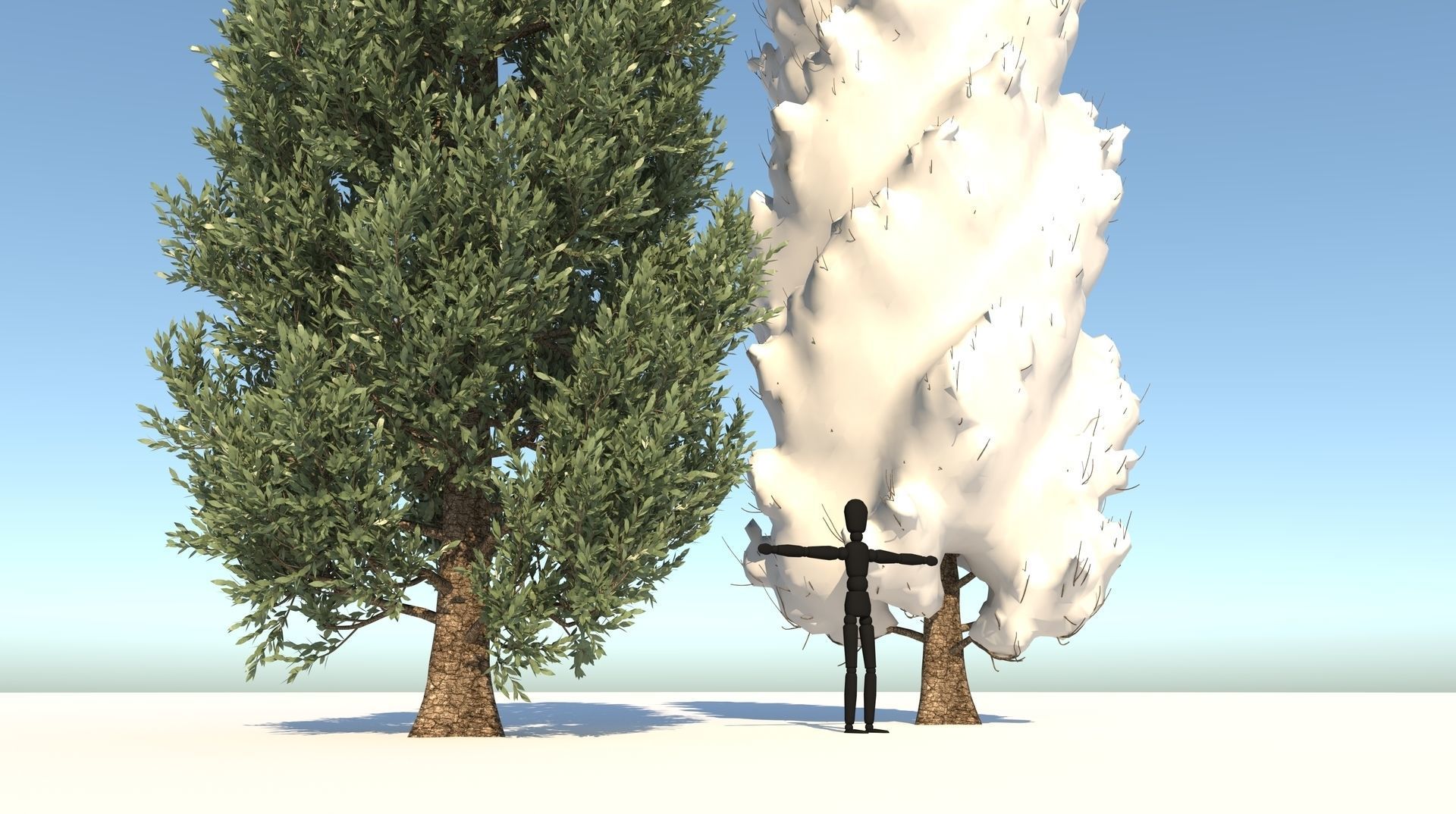 Season Tuscan Cypress Tree 3D model_8