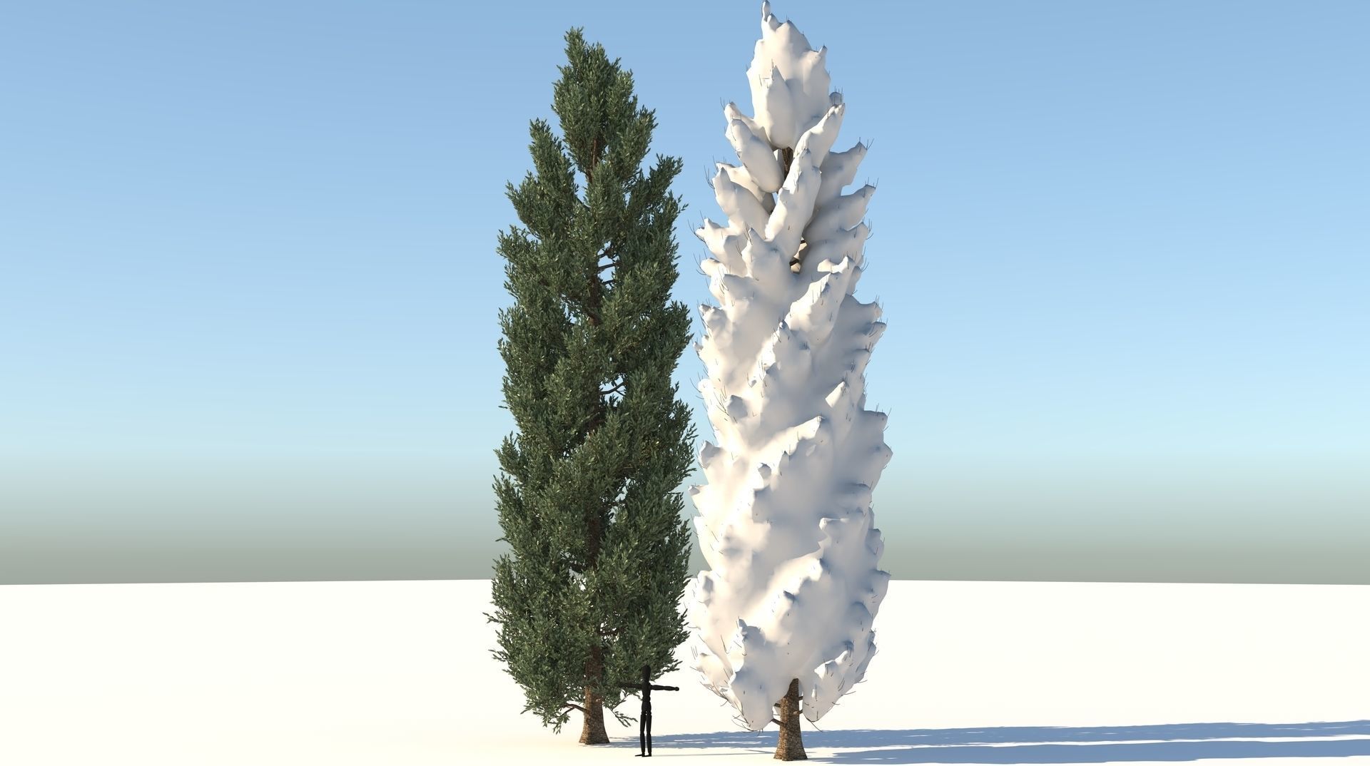 Season Tuscan Cypress Tree 3D model_2