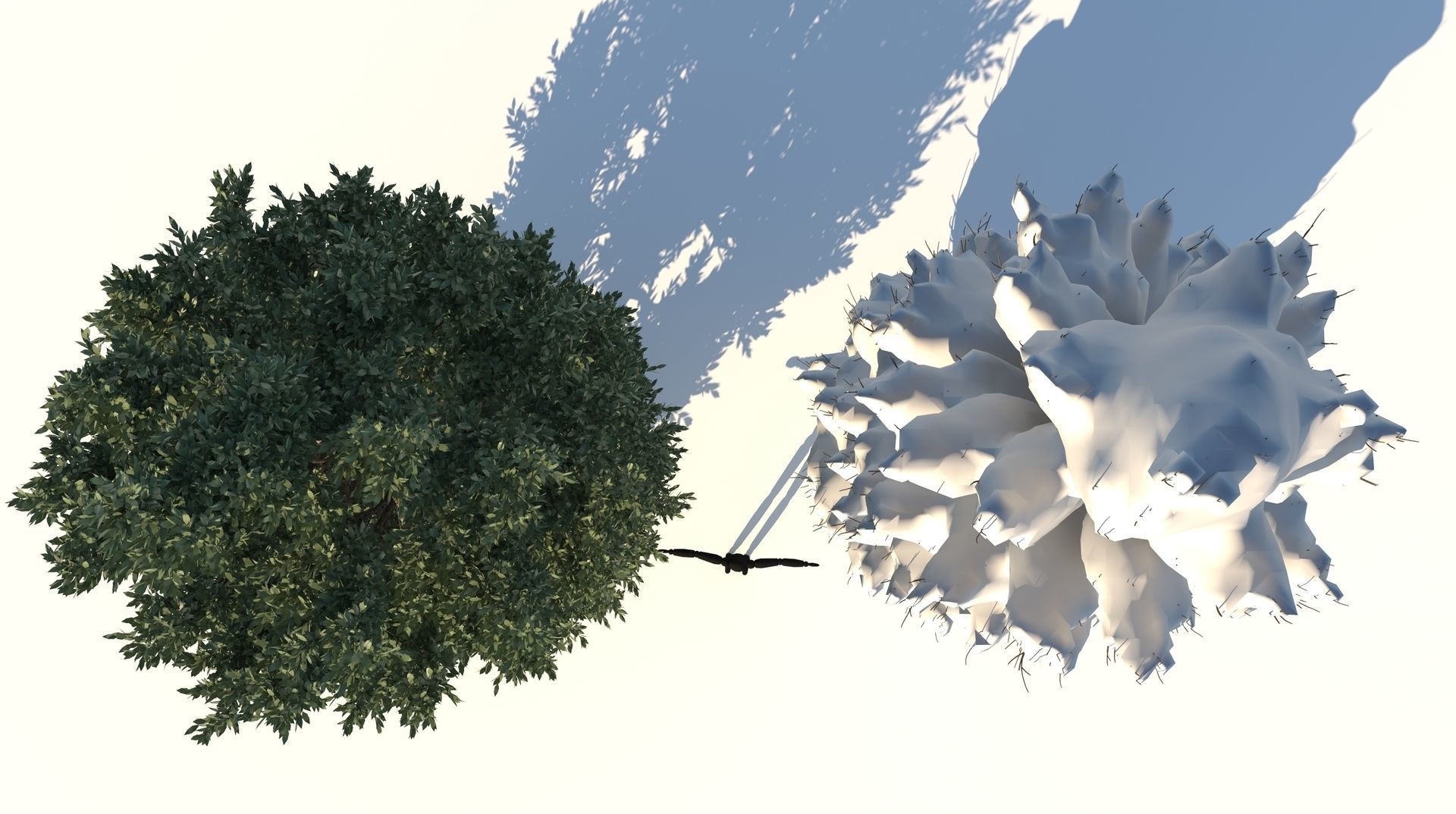 Season Tuscan Cypress Tree 3D model_3