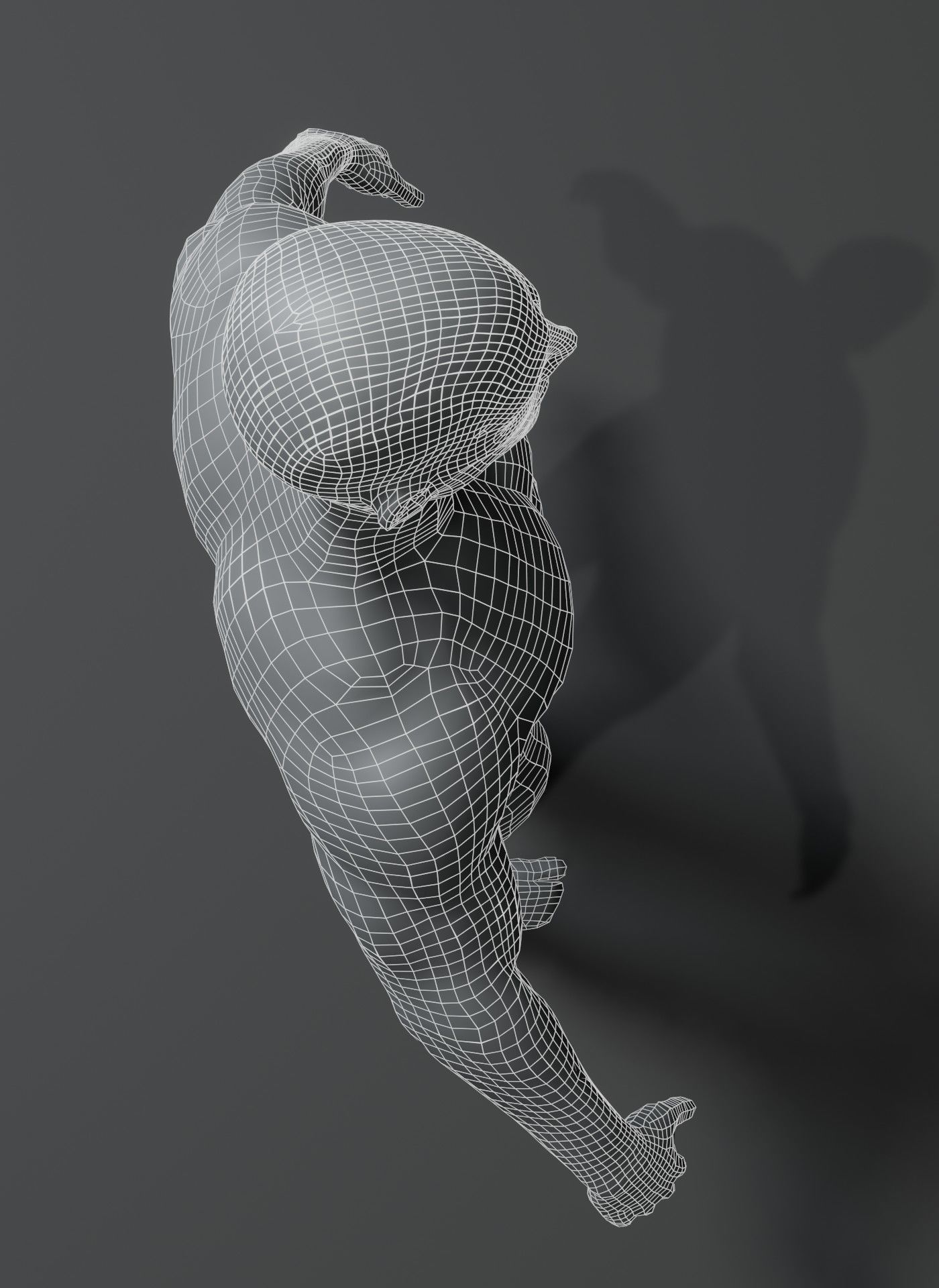 Male Body Base Mesh 3D Model 10k Polygons Low-poly 3D model_10