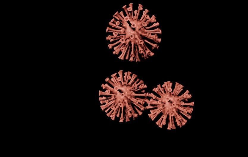 Animated virus 3D model_4