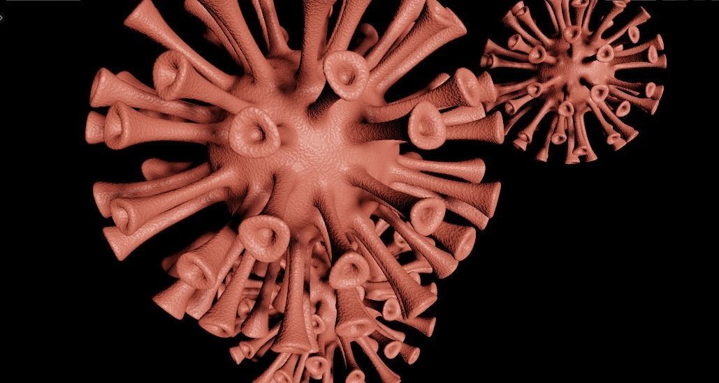 Animated virus 3D model_5