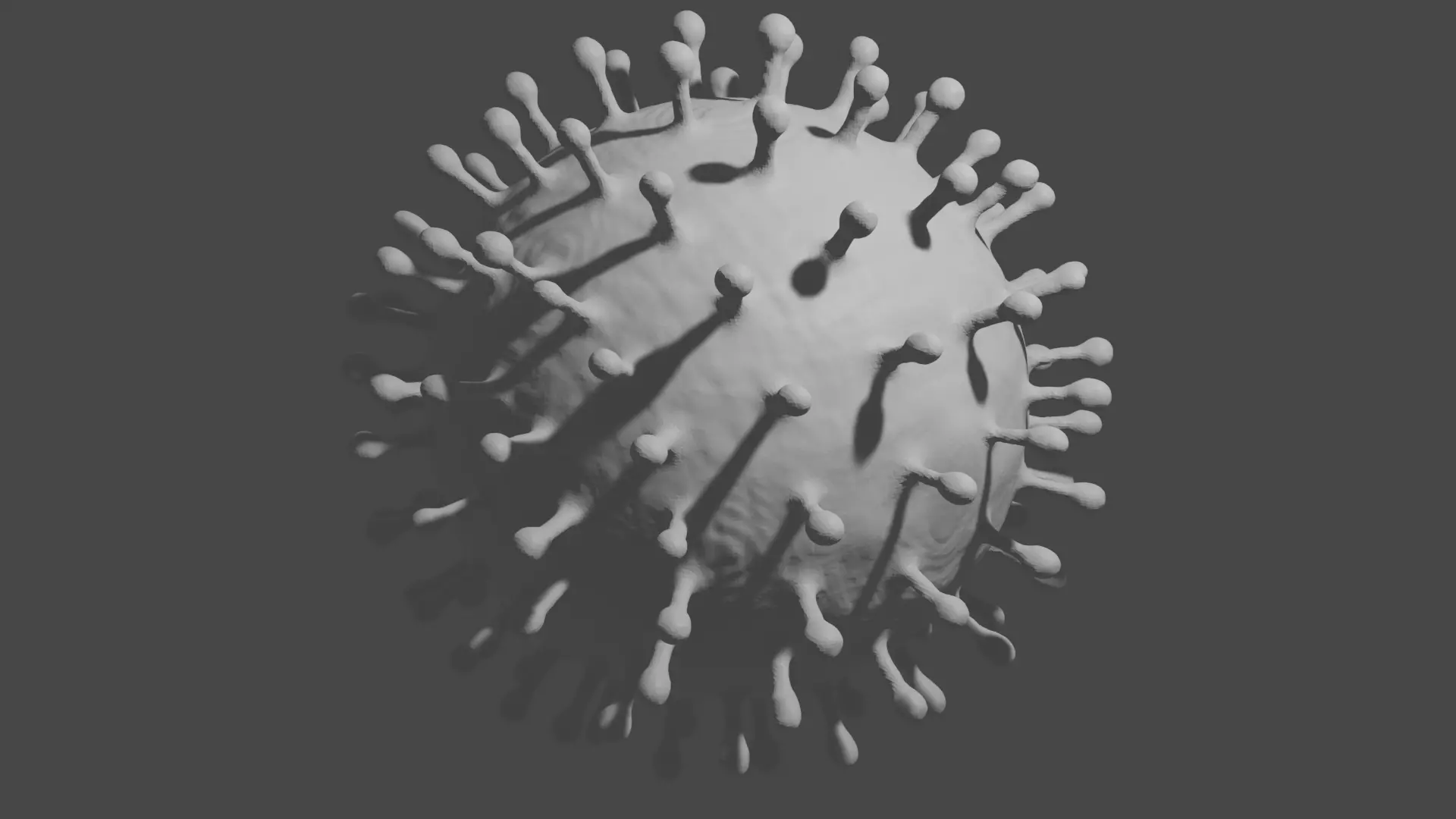 covid-19 viruses 3D model