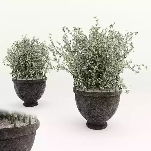  Bush in a pot stone vase  Low-poly 3D model