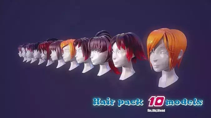 Hair Pack 10 Models 