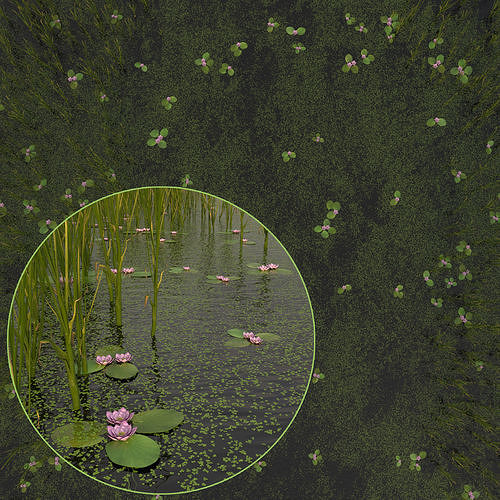 set of marsh vegetation 3D model