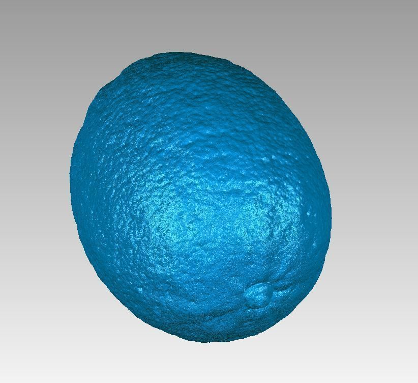 Real Lemon Fruit High Detail 3D Scan 3D print model_6