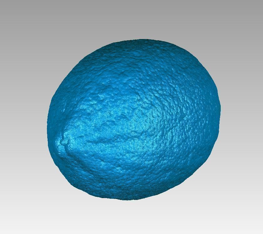 Real Lemon Fruit High Detail 3D Scan 3D print model_2