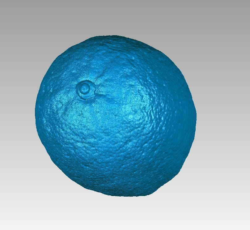 Real Lemon Fruit High Detail 3D Scan 3D print model_5