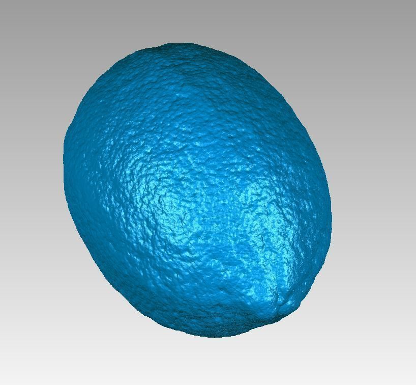 Real Lemon Fruit High Detail 3D Scan 3D print model_3