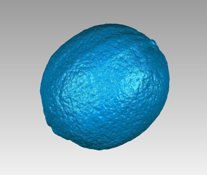 Real Lemon Fruit High Detail 3D Scan 3D print model_7