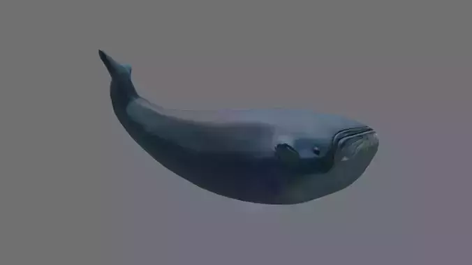 Mobile Game-Ready Low Poly Whale 3D Model Free low-poly 3D model