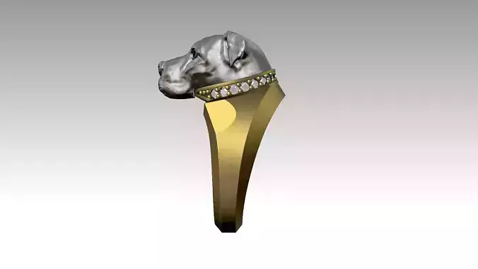Pitbull Ring 2