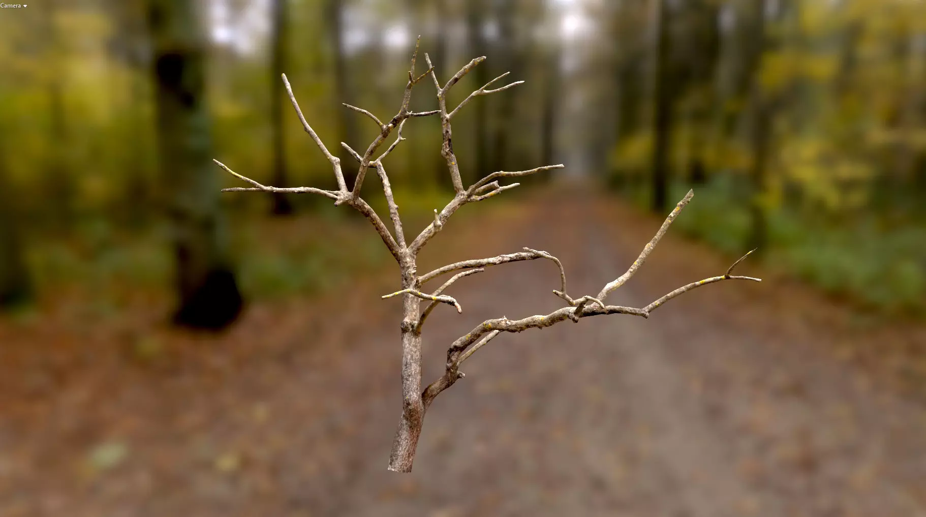 Autumn Dry Apple Tree Scan Full-Size Low-poly 3D model