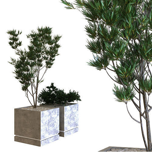 plants box set 09 3D model