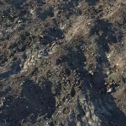 Black soil material 3D model