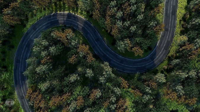Forest Highway Scene 3d Model and Realistic Grass Pack in Scene 3D model