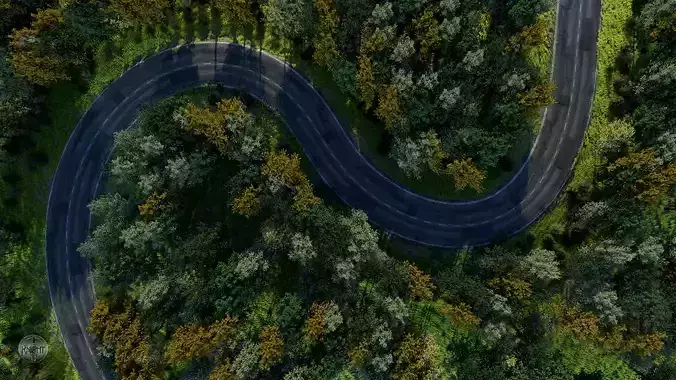 Forest Highway Scene 3d Model and Realistic Grass Pack in Scene 3D model