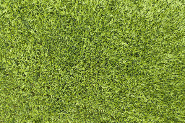 3D model-Floor plan-Home 3D model_21