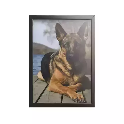 3d model Photo Frame