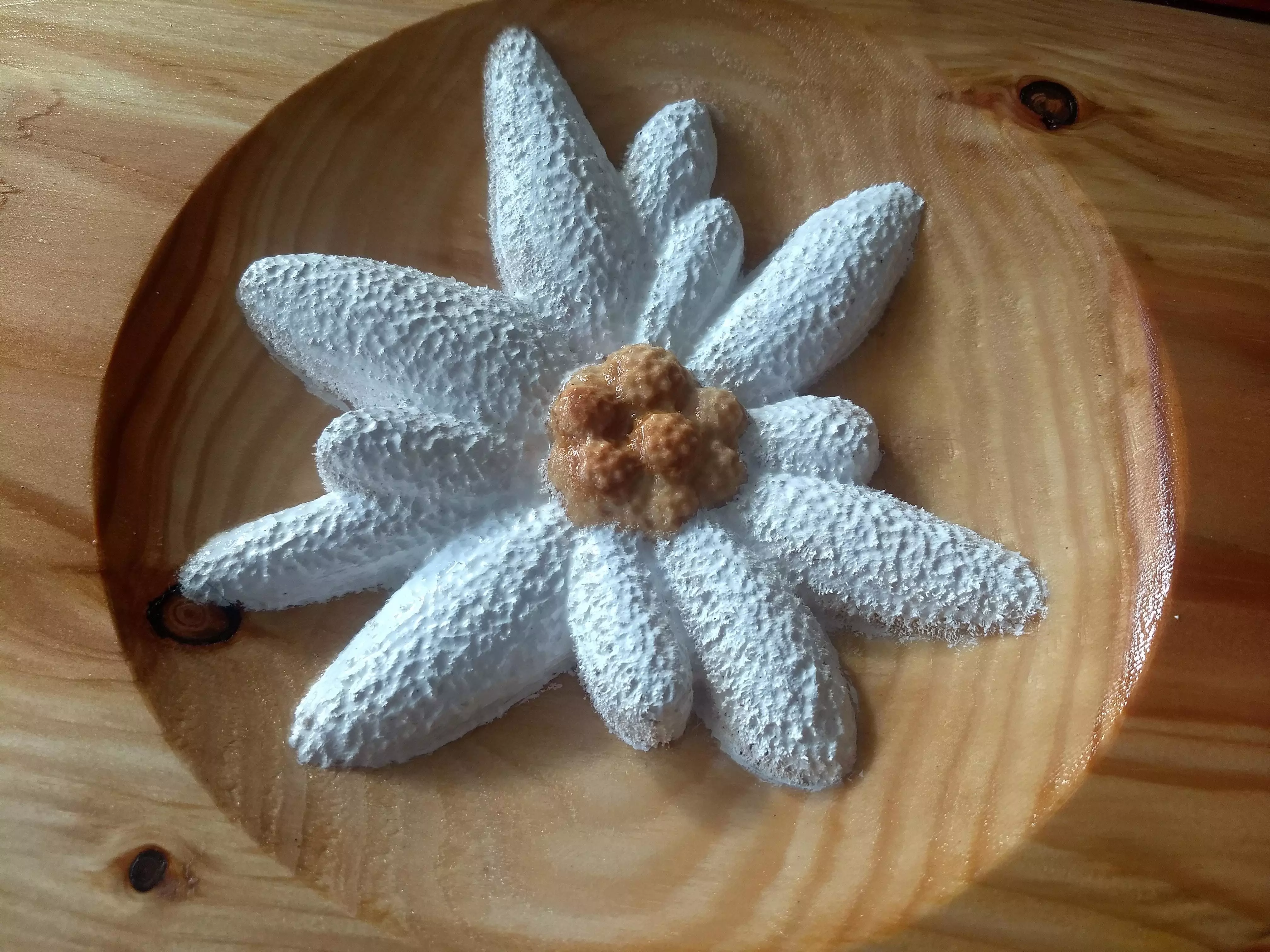 Edelweiss flower made of sand on wooden plate 3D model_0