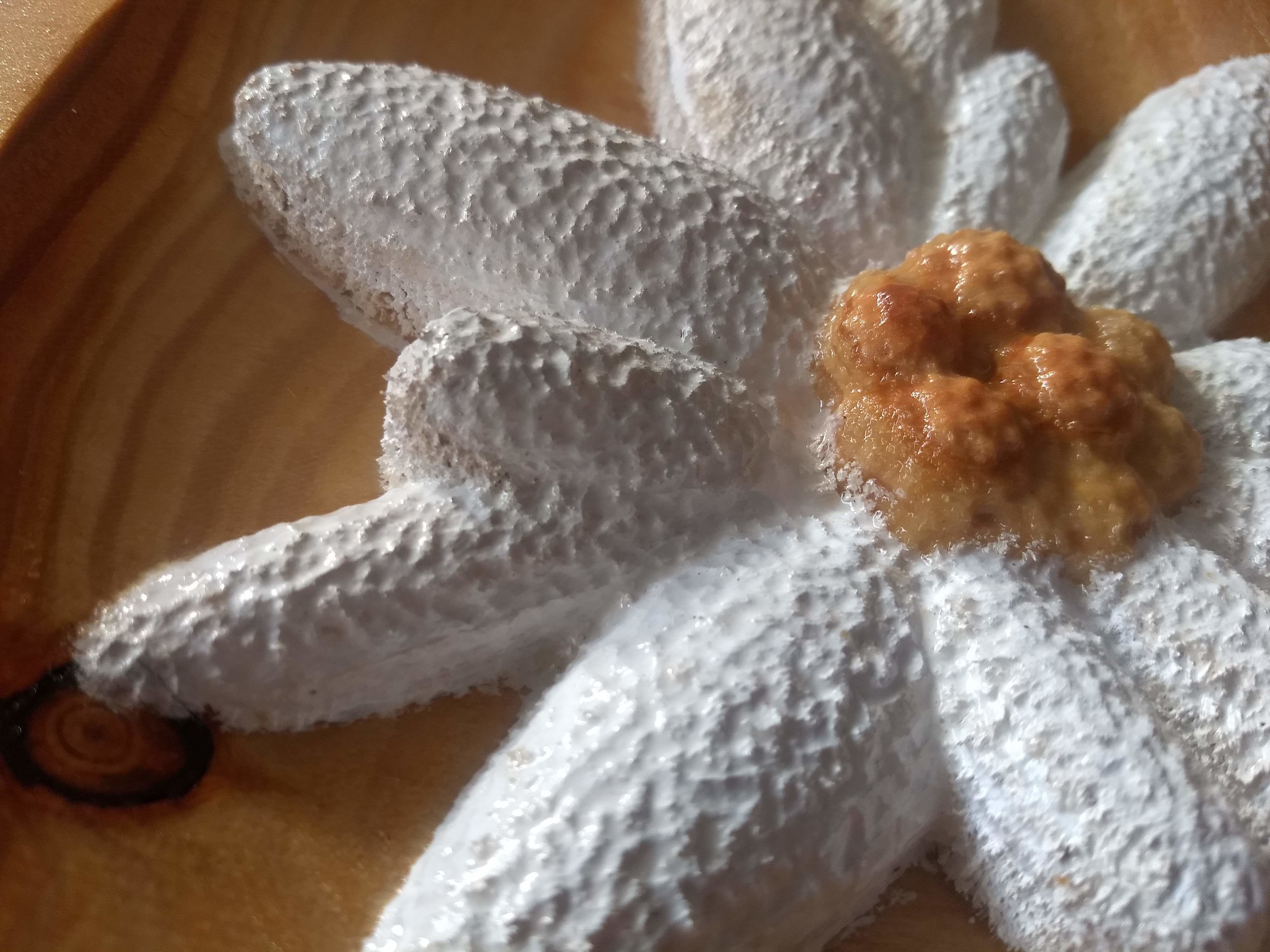 Edelweiss flower made of sand on wooden plate 3D model_1