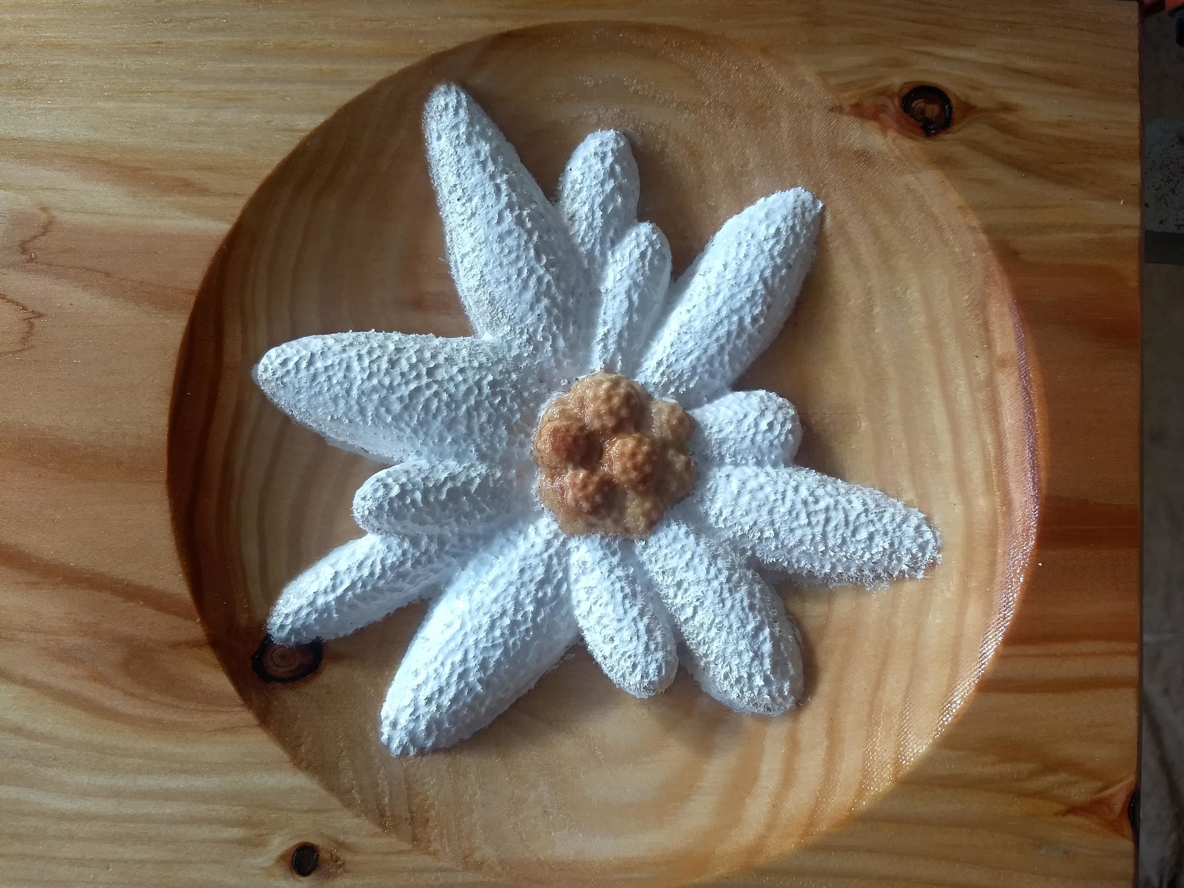 Edelweiss flower made of sand on wooden plate 3D model_3