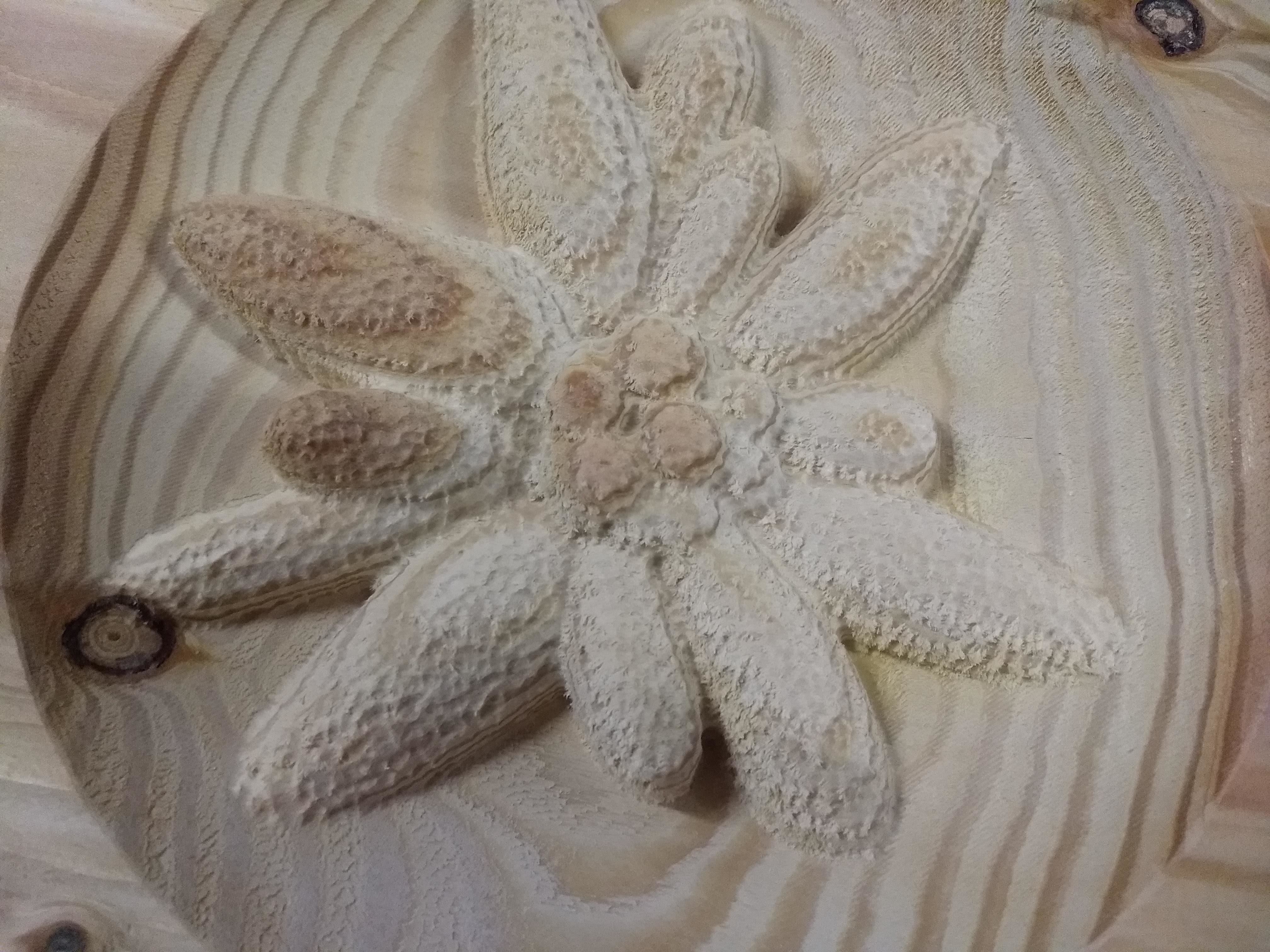 Edelweiss flower made of sand on wooden plate 3D model_2