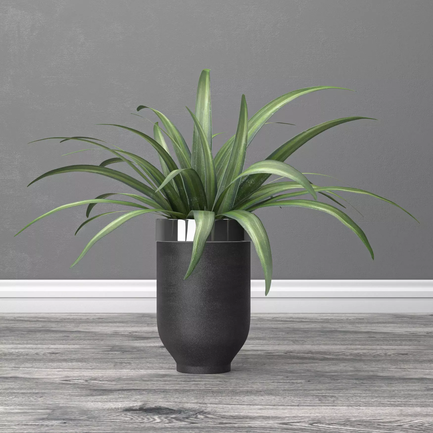 indoor and outdoor spider plant 3D model_0