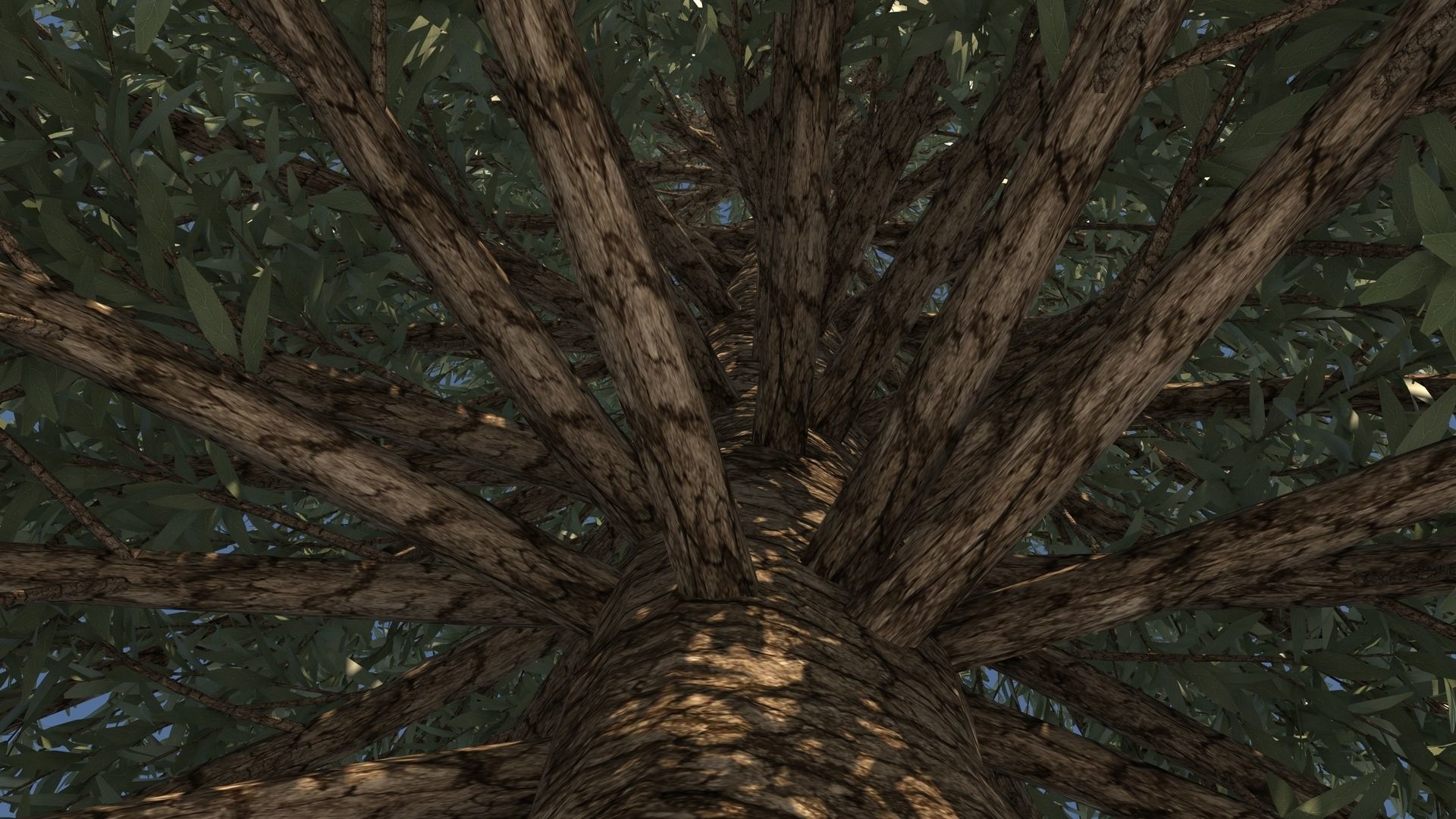 Abies Fraseri Tree 3D model_6