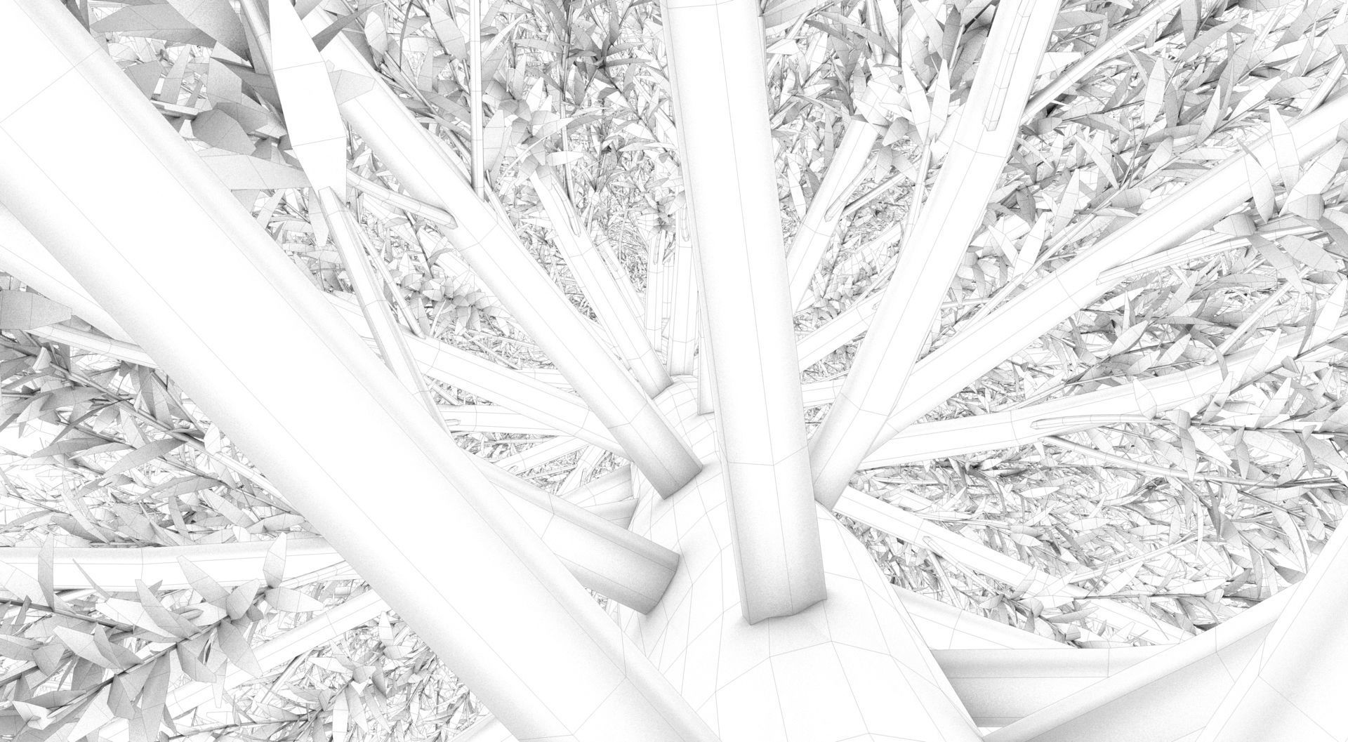 Abies Fraseri Tree 3D model_13