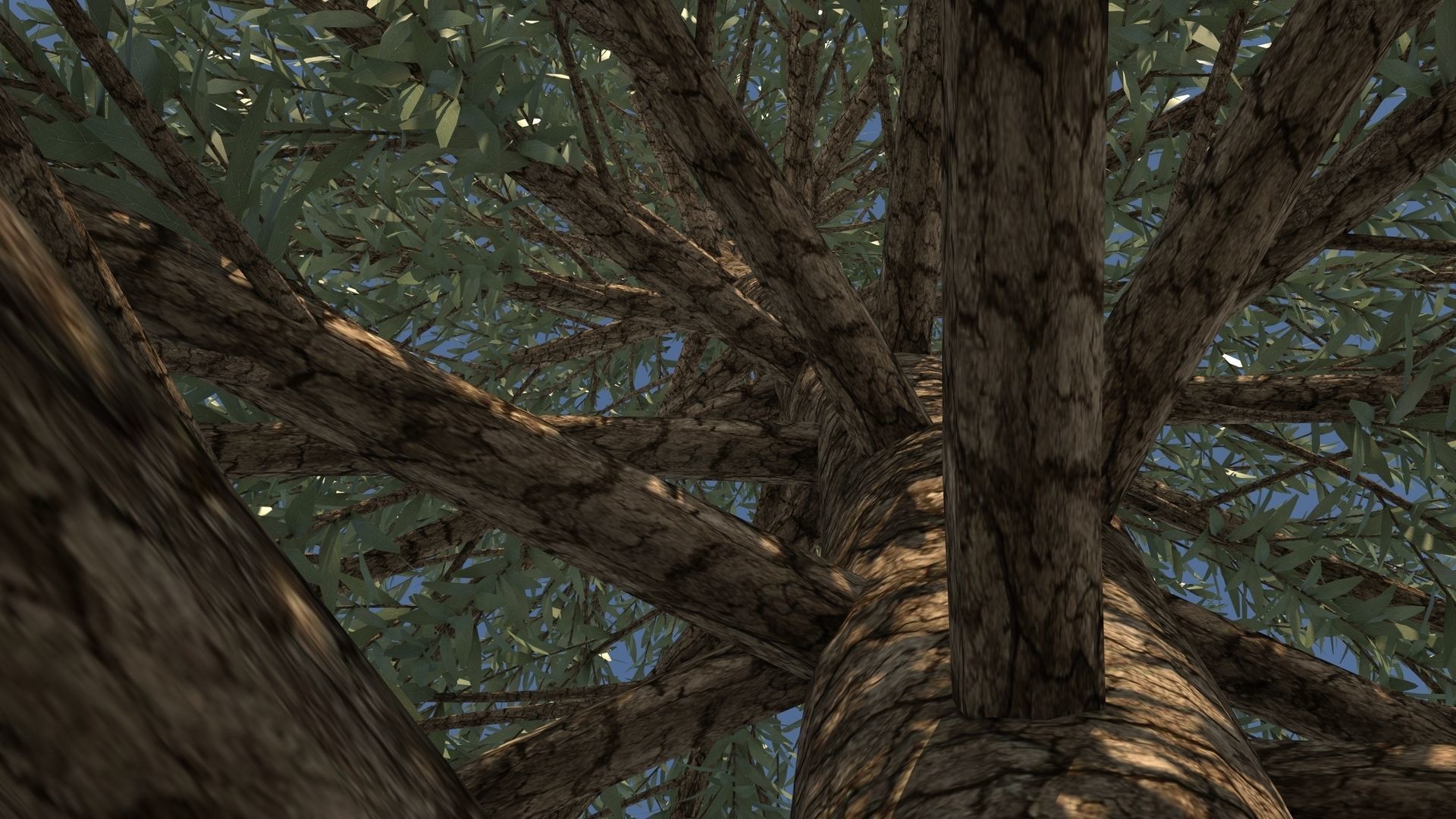 Abies Fraseri Tree 3D model_7