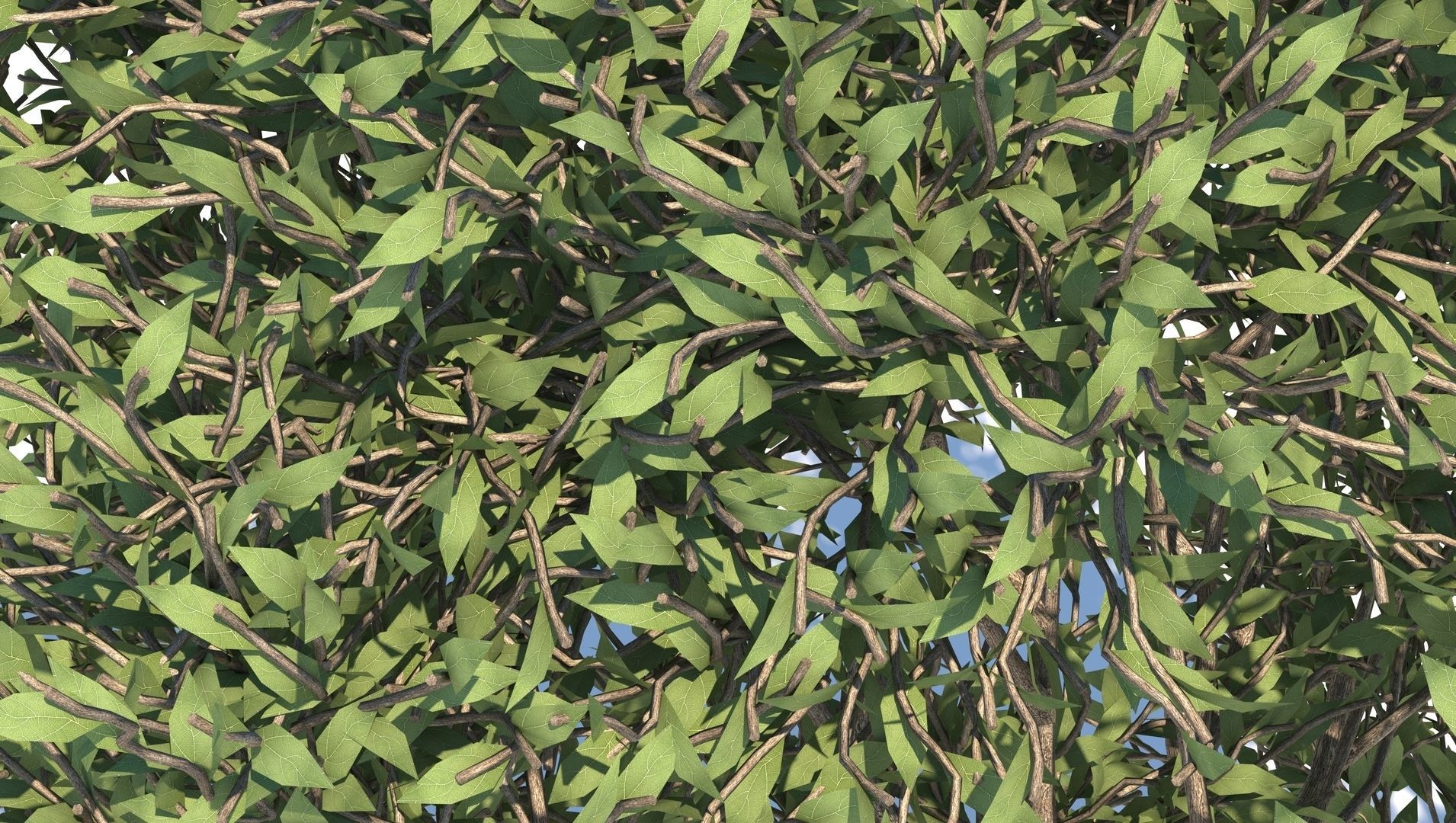 Apple Tree  3D model_7