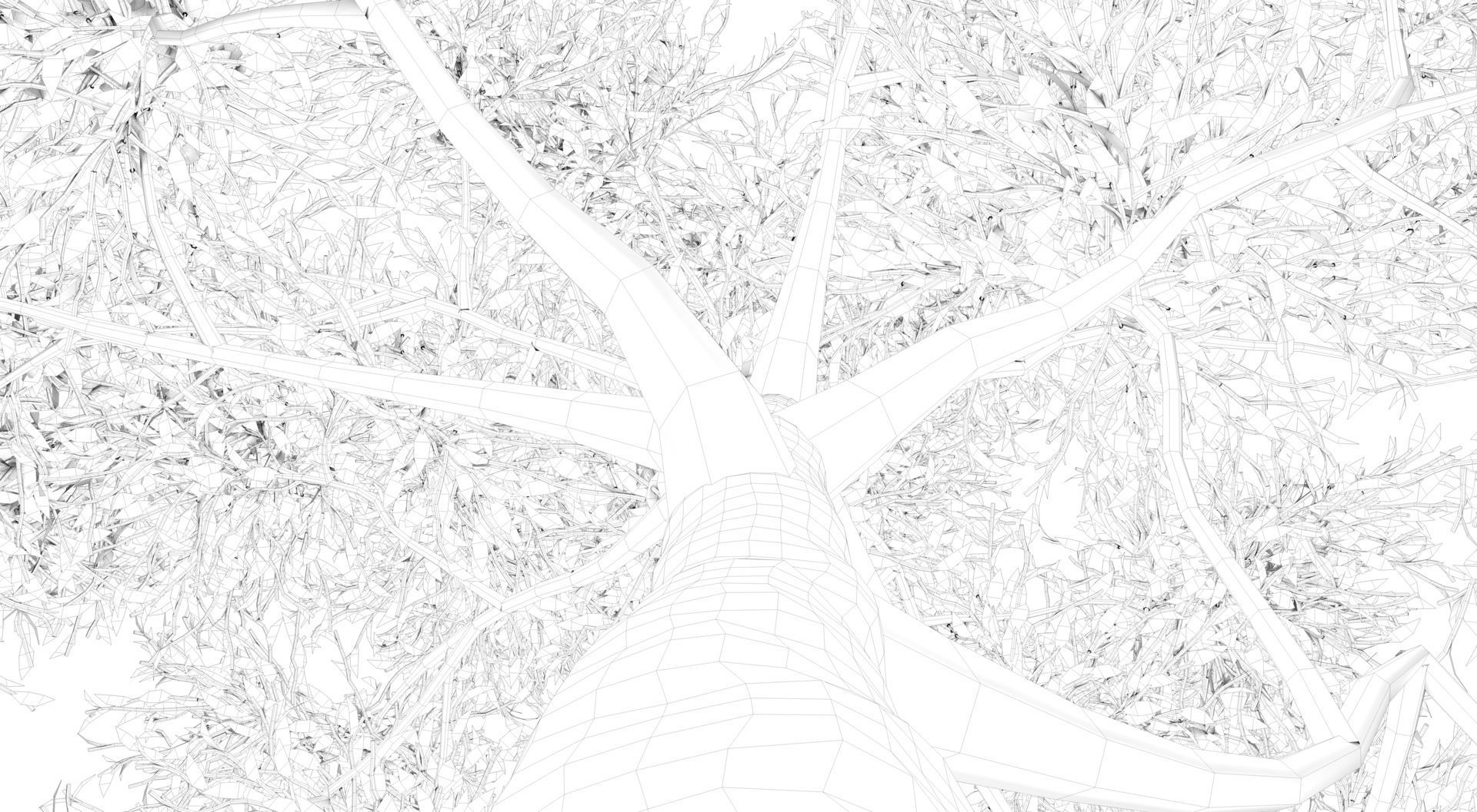 Apple Tree  3D model_12