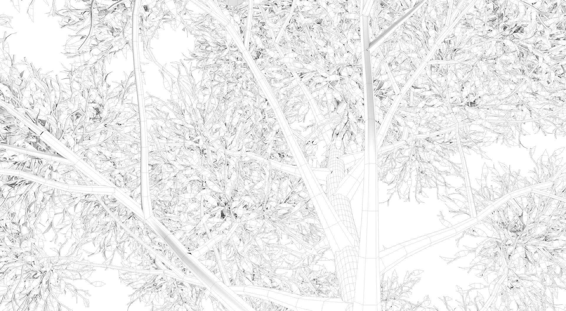 Apple Tree  3D model_13