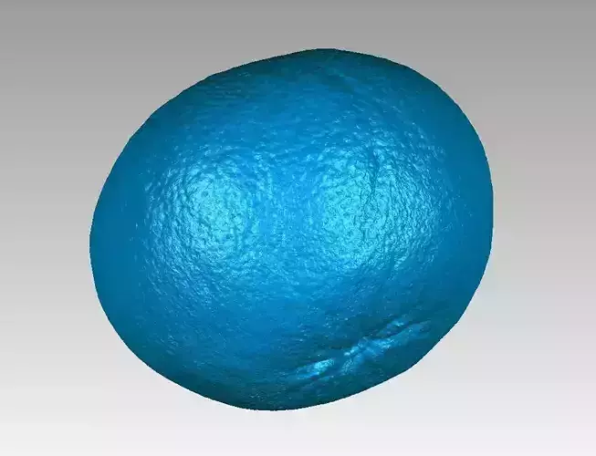 Real Mandarin Orange Fruit High Detail 3D Scan