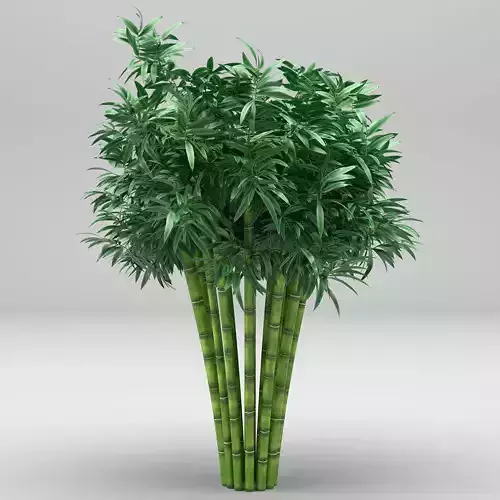 Bamboo plant 3D model