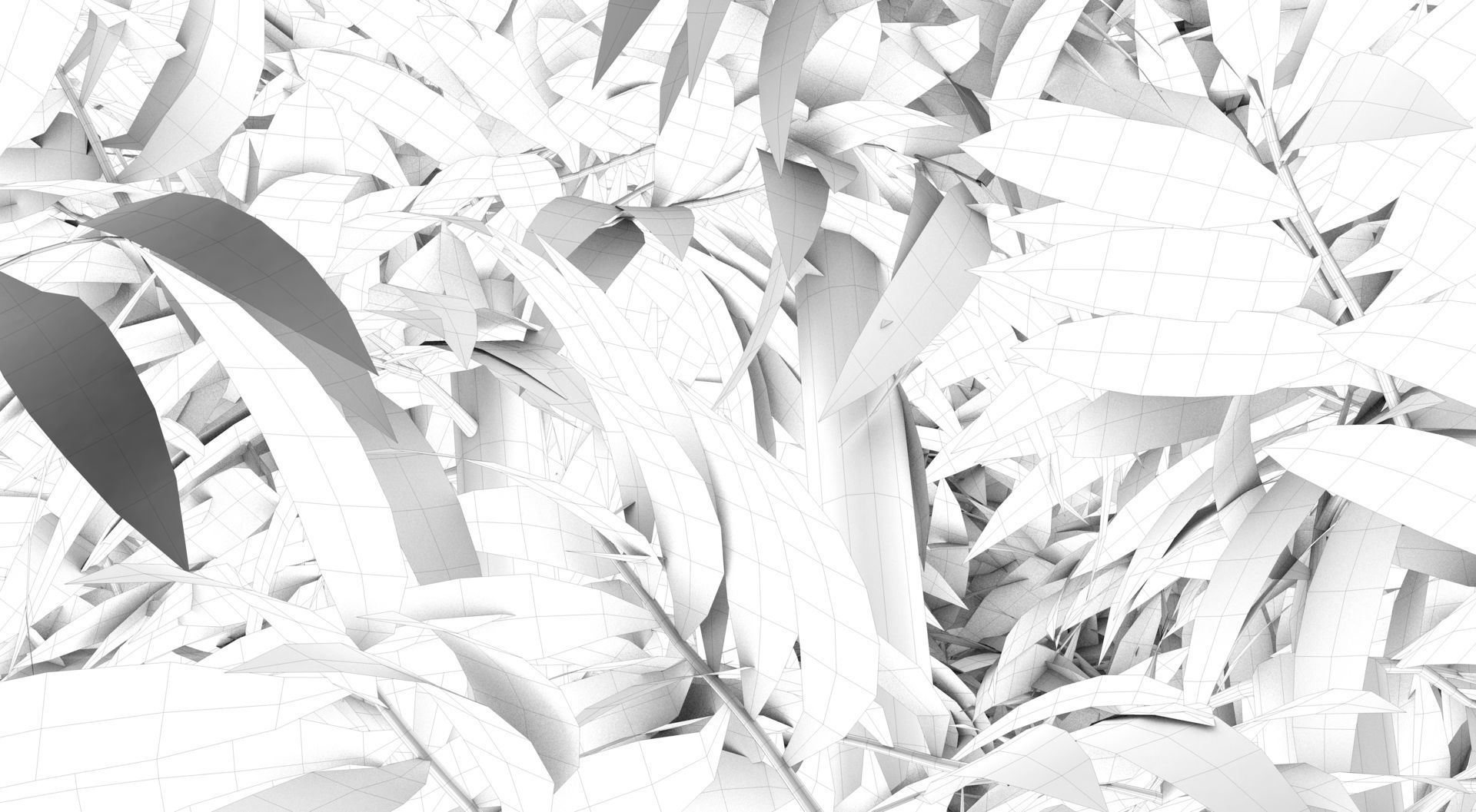 Bamboo plant 3D model_13