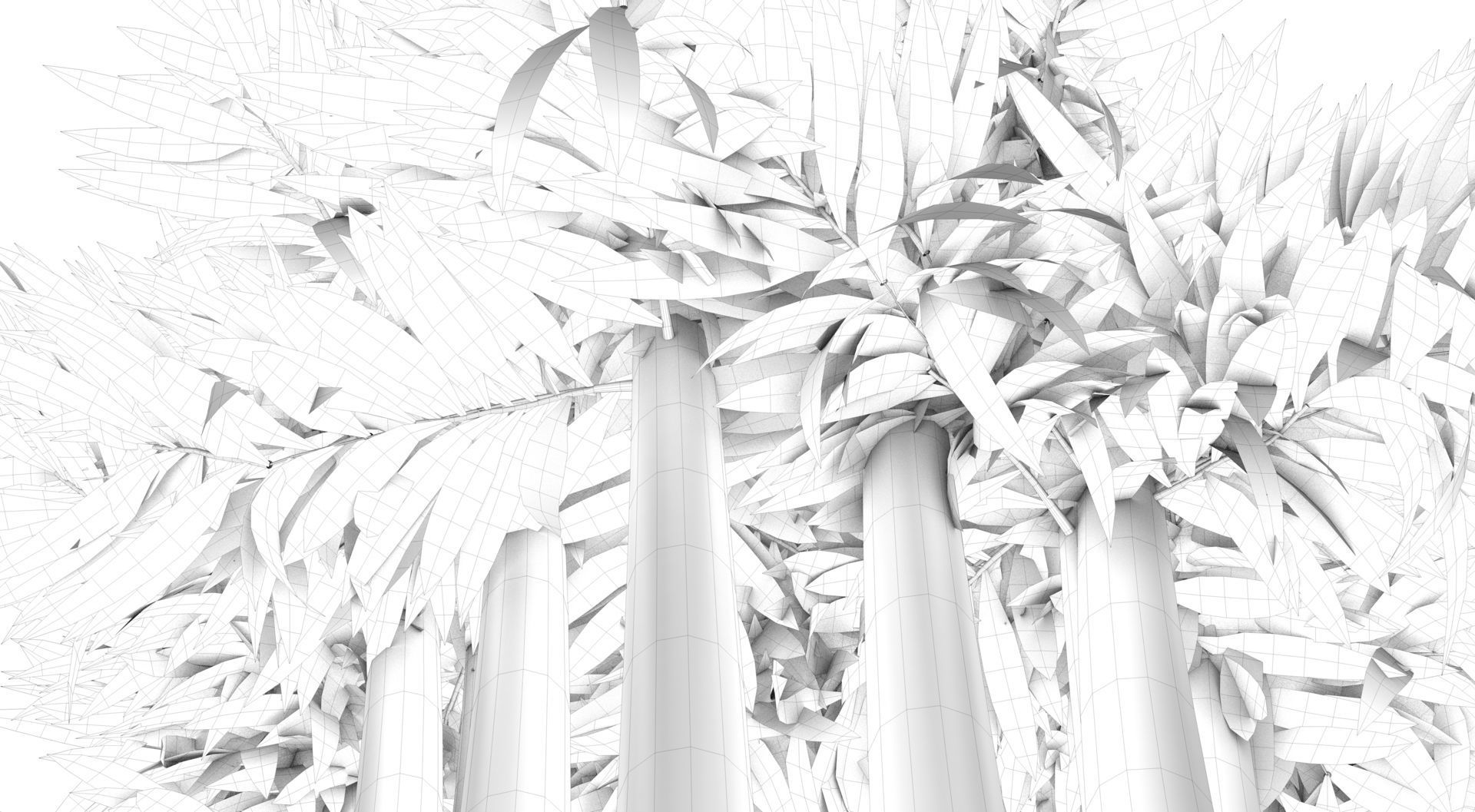 Bamboo plant 3D model_12